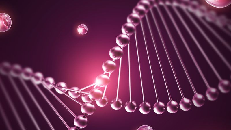 细胞培养设备：揭秘其背后的技术奥秘与选购要点**