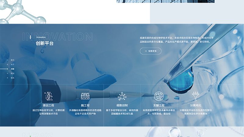 国内生物药CDMO行业：崛起的力量与未来趋势**