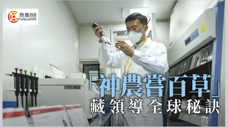 细胞培养定制服务：生物医药研发的得力助手**