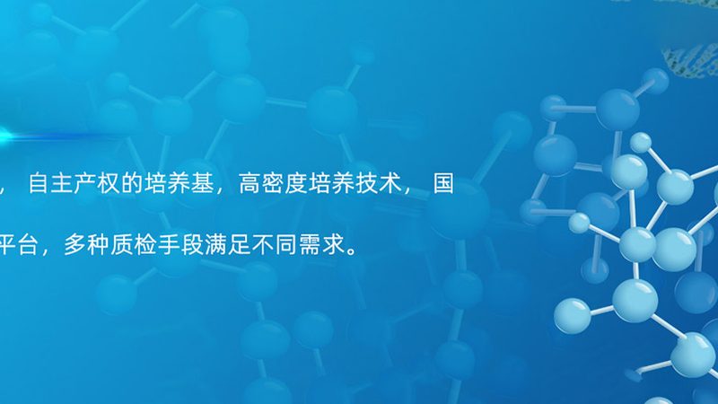食品酶制剂定制，揭秘其背后的技术秘密**