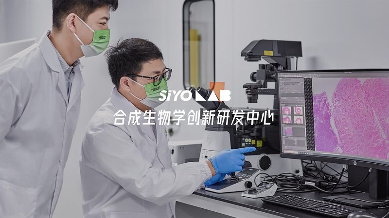 生物医药产业园选址：十大关键考量因素解析