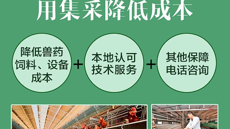 实验室塑料耗材：如何选择合适的批发方案？**
